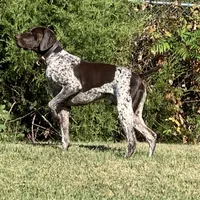 processed/a51c1bbe-9c05-41d2-8d45-7ea6b9083edd/facility/10a88bda-8dfc-499e-b7c1-9f9c3cc635d0