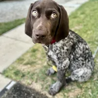 processed/a51c1bbe-9c05-41d2-8d45-7ea6b9083edd/facility/4db835c8-31e8-478f-a231-2131a5db433d