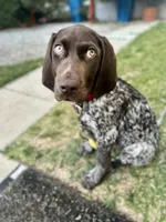 processed/a51c1bbe-9c05-41d2-8d45-7ea6b9083edd/facility/4db835c8-31e8-478f-a231-2131a5db433d