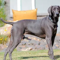 processed/a51c1bbe-9c05-41d2-8d45-7ea6b9083edd/facility/62bd2631-290b-459b-bf4b-9f1e71c9a12f