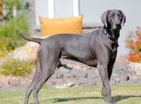 processed/a51c1bbe-9c05-41d2-8d45-7ea6b9083edd/facility/62bd2631-290b-459b-bf4b-9f1e71c9a12f