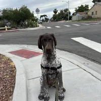 processed/a51c1bbe-9c05-41d2-8d45-7ea6b9083edd/facility/7cee4847-1503-4172-8ffd-c39fc1483729