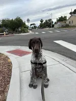 processed/a51c1bbe-9c05-41d2-8d45-7ea6b9083edd/facility/7cee4847-1503-4172-8ffd-c39fc1483729