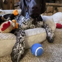 processed/a51c1bbe-9c05-41d2-8d45-7ea6b9083edd/facility/f3bae2d6-5de7-4d9a-bd49-7474b28aa96a