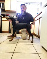 Dobby, a male Doberman Pinscher for sale in Rio Rancho, NM – 3 of 3