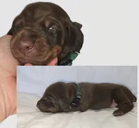 processed/a51d005a-4281-441b-a2c9-07105b1c10df/listing/8a35945a-4473-4bbe-82a4-14a0a39a10fa/54457224-b829-46b9-9168-f7d53d3d2a53