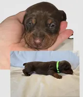 processed/a51d005a-4281-441b-a2c9-07105b1c10df/listing/c8912740-2f63-4be2-aa8b-2fe88f1c0d54/5dfc915e-59dd-4e5b-a368-c6ae372c9ecc