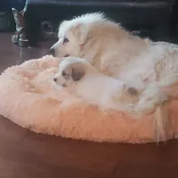 processed/a51f2342-e42f-425f-9d0b-c4c762f48731/facility/402fd122-6c79-46ee-913a-951956c8e044