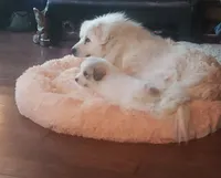 processed/a51f2342-e42f-425f-9d0b-c4c762f48731/facility/402fd122-6c79-46ee-913a-951956c8e044