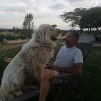 processed/a51f2342-e42f-425f-9d0b-c4c762f48731/facility/68542674-449c-4c13-94ce-79203fd522da