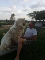 processed/a51f2342-e42f-425f-9d0b-c4c762f48731/facility/68542674-449c-4c13-94ce-79203fd522da