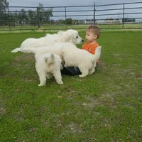 processed/a51f2342-e42f-425f-9d0b-c4c762f48731/facility/802ce4d4-4baa-43ce-b349-00425a329b06