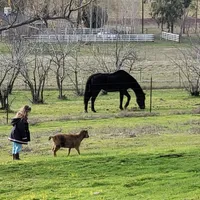 processed/a51f2342-e42f-425f-9d0b-c4c762f48731/facility/832faa32-ee8a-49bb-ac18-135842d00f9b