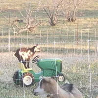 processed/a51f2342-e42f-425f-9d0b-c4c762f48731/facility/8e3a8561-4d92-4955-8219-ca28e90bf537