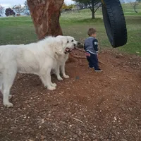 processed/a51f2342-e42f-425f-9d0b-c4c762f48731/facility/b75f28f0-3ae4-420a-bbf0-0ef57c96b348