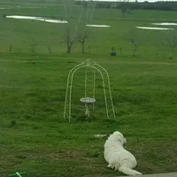 processed/a51f2342-e42f-425f-9d0b-c4c762f48731/facility/cd129c6b-bbce-4041-b84c-7c1586f6efbb