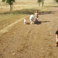 processed/a51f2342-e42f-425f-9d0b-c4c762f48731/facility/e2a2c5ac-45f4-4786-a962-c3842dff21bd