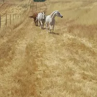 processed/a51f2342-e42f-425f-9d0b-c4c762f48731/facility/f998434a-a313-49a7-aca0-3016918413a2