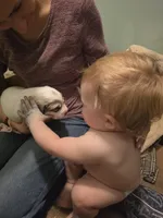 Doodlebug, a female Great Pyrenees for sale in Red Bluff, CA – Photo 4 of 5