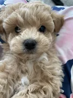 processed/a52b0e84-fdd4-46e6-b511-e53f7bf3c0b2/facility/0b429c28-6013-49c4-b2f9-20782ff70421