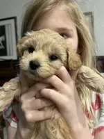 processed/a52b0e84-fdd4-46e6-b511-e53f7bf3c0b2/facility/56d65f93-fa44-4f44-97e6-5af182fe3977