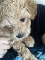 processed/a52b0e84-fdd4-46e6-b511-e53f7bf3c0b2/facility/62d98e8a-bdd1-4856-8023-cf1c0f356850