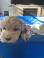 processed/a52b0e84-fdd4-46e6-b511-e53f7bf3c0b2/facility/6c6be625-1bcf-4d4a-b7c4-5ba1667ca541