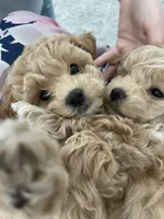 processed/a52b0e84-fdd4-46e6-b511-e53f7bf3c0b2/facility/b8cd910e-e511-4881-ab5a-f73c1f36392c