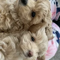 Facility photo