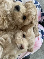 processed/a52b0e84-fdd4-46e6-b511-e53f7bf3c0b2/facility/dc26f9ab-1860-448f-a752-7b2388f7ef66