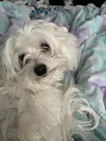 processed/a52b0e84-fdd4-46e6-b511-e53f7bf3c0b2/listing/1630dcae-23cc-47bf-bebe-0e7f0b9128fe/b188ae11-2855-4a65-95c1-940312dd0fdf