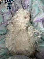 processed/a52b0e84-fdd4-46e6-b511-e53f7bf3c0b2/listing/1630dcae-23cc-47bf-bebe-0e7f0b9128fe/f9d30bc5-af10-4609-b587-640122b78c50