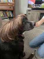 processed/a52b0e84-fdd4-46e6-b511-e53f7bf3c0b2/listing/56a7fabc-880b-455d-8695-1160141bba29/24086b29-3bf1-463f-8dec-f35a01f4deac