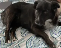 processed/a52b0e84-fdd4-46e6-b511-e53f7bf3c0b2/listing/56a7fabc-880b-455d-8695-1160141bba29/c1e4c8b1-a0e8-408c-9653-661a31d9e430