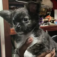 processed/a52e228a-7a23-4fa3-9153-db6343660437/facility/4ce54a39-d525-4772-98ed-9c705d0f1c82