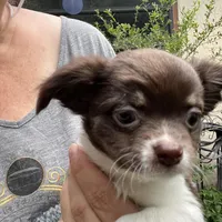 processed/a52e228a-7a23-4fa3-9153-db6343660437/facility/66153339-5094-4e44-9480-9430439252e6