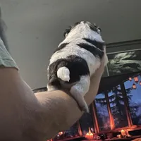 processed/a52e228a-7a23-4fa3-9153-db6343660437/facility/c5755c4b-2d80-49a6-96fb-bd48f702a623