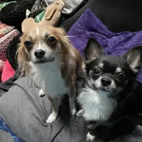 processed/a52e228a-7a23-4fa3-9153-db6343660437/facility/cecbf6e8-52d1-4cec-a1c0-c1e0b7d075cc