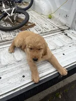 processed/a535e468-a6eb-40bd-9ee3-1d737840e342/listing/339a7c37-7519-4bb6-865f-d834055bfc52/40f0acf1-32c5-4d55-b43c-6a6f15886e9f