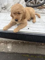 processed/a535e468-a6eb-40bd-9ee3-1d737840e342/listing/339a7c37-7519-4bb6-865f-d834055bfc52/731888d1-4fb7-4130-9217-84c53147bc2b