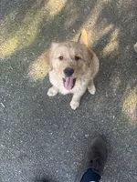 processed/a535e468-a6eb-40bd-9ee3-1d737840e342/listing/339a7c37-7519-4bb6-865f-d834055bfc52/7df026d9-e60a-450a-b571-9945da121fad