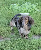 processed/a53f21fc-7303-4ad7-89d2-3c11cf768cf8/facility/1461c5f9-f621-4584-93f5-3a4c3d47ec35