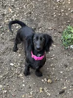 processed/a53f21fc-7303-4ad7-89d2-3c11cf768cf8/facility/1afa46de-0faf-4900-9700-46825136817e