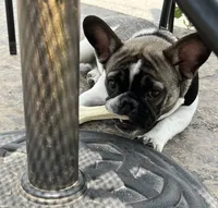 processed/a53f21fc-7303-4ad7-89d2-3c11cf768cf8/facility/8055029d-4437-428b-92eb-d5c4360be039