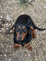 processed/a53f21fc-7303-4ad7-89d2-3c11cf768cf8/facility/9b23e6d0-4212-49f1-bbcc-41226c342f61