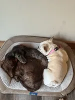 processed/a53f21fc-7303-4ad7-89d2-3c11cf768cf8/facility/d6b5a070-3483-4b58-82a2-1fc47279d58c