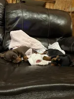 processed/a53f21fc-7303-4ad7-89d2-3c11cf768cf8/facility/f8ac33ae-3733-4c02-b7b3-51fef98fe909