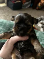 processed/a540469a-7202-4f6b-b600-18273f17986f/listing/12efb118-38d1-4a92-9d1a-0be56ea31d84/02fbf9a6-f25b-4211-a9d2-9148e18a5646