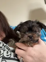 processed/a540469a-7202-4f6b-b600-18273f17986f/listing/12efb118-38d1-4a92-9d1a-0be56ea31d84/923e424f-26ba-4cdd-bc65-cae76c722ba7