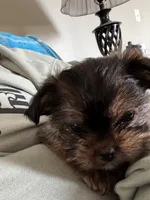 processed/a540469a-7202-4f6b-b600-18273f17986f/listing/12efb118-38d1-4a92-9d1a-0be56ea31d84/abe54258-ba1c-44a0-b115-9f339046cece